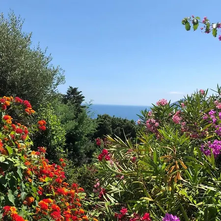 Sea Views And Beautiful Pool Cannes