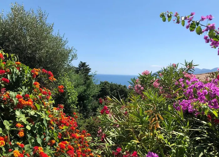 Sea Views And Beautiful Pool Cannes